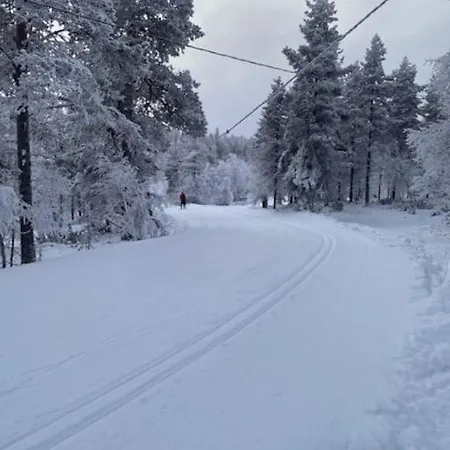 Ferienhaus Seitapolku 12 *